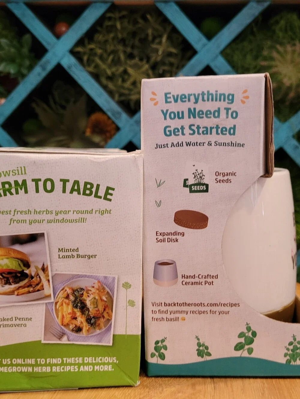 Back to the Roots Organic Herb Garden Kit Cilantro Basil Mint Lemon Balm Kitchen